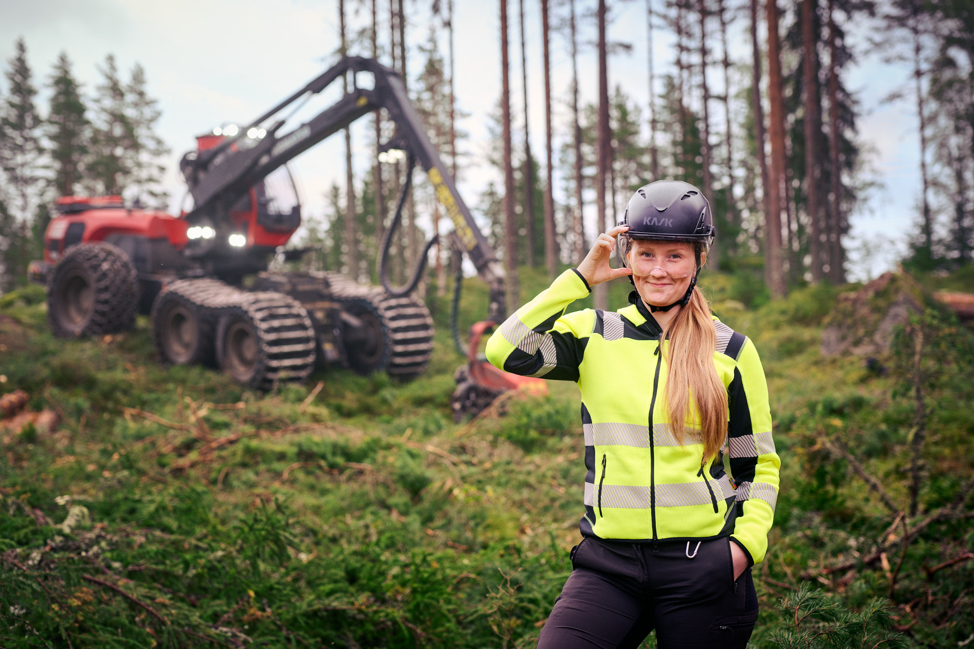 Stora Enso Skog-hero-background